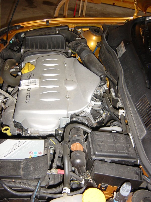 385.jpg