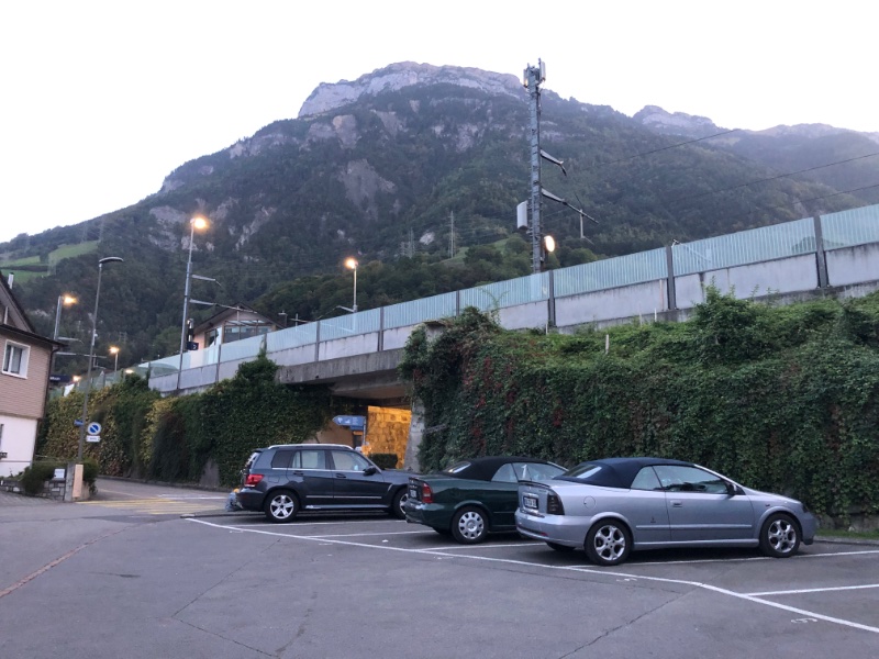IMG_8706.jpeg