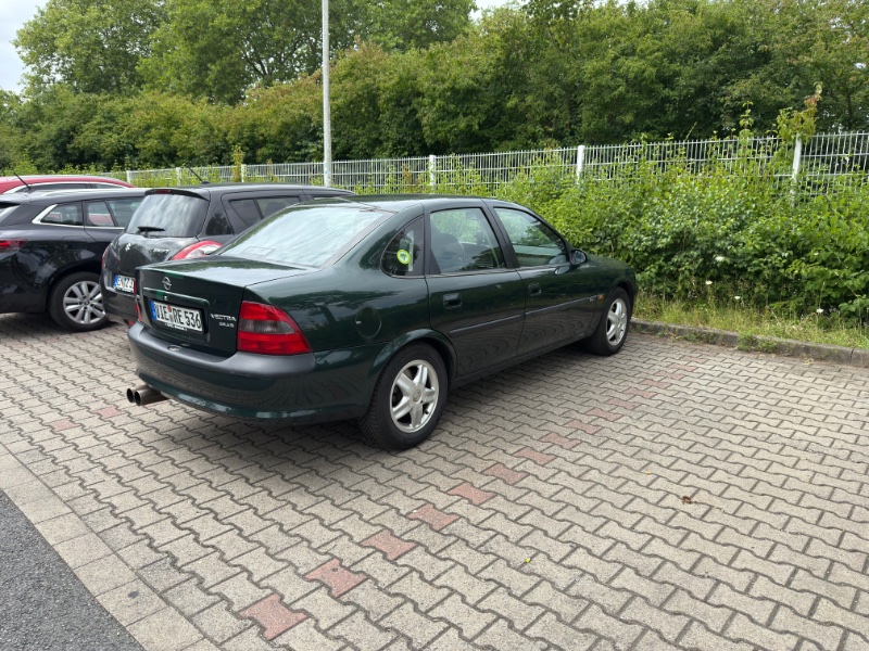 IMG_1938.jpeg