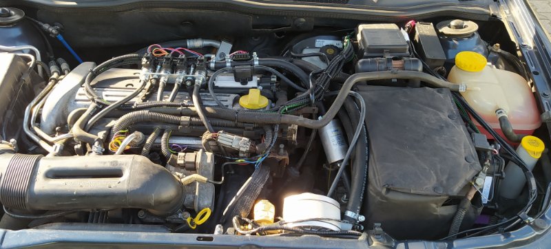 GCAB20200907_Autogasanlage5.jpg